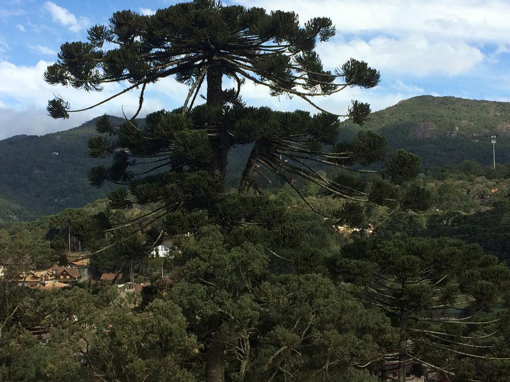 Chale Aconchegante Villa Monte Verde  Kültér fotó
