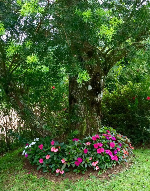 Chale Aconchegante Villa Monte Verde  Kültér fotó